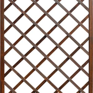 Pergola Nancy, Brown