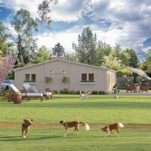 Wooden House PUSTYNNIK B - 1050x595 cm 62m2